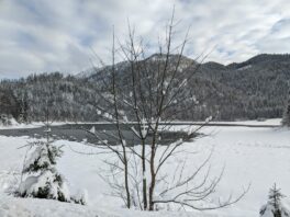 Start in die Langlaufsaison