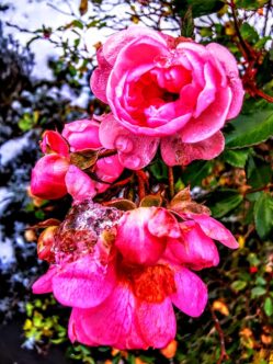 abef7b0a-9513-410b-be8d-13d46c5054aa