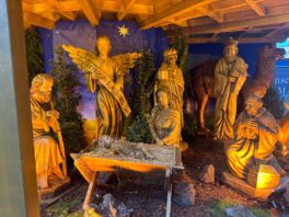 0e1ce7d8-1c7b-4e66-a530-9449dffcddee