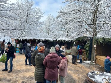 17edf28c-ec1c-4a22-a653-8059e448136a