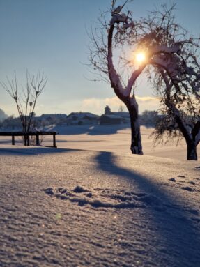 20231203_151242_resized