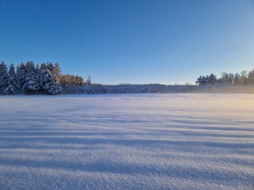 20231203_153009_resized