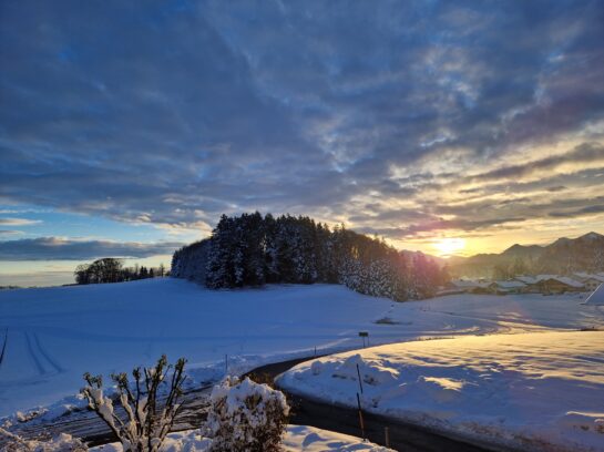 20231205_081612_resized