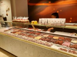 20231215_112337 (Copy)