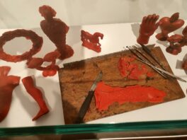 20231215_113616 (Copy)