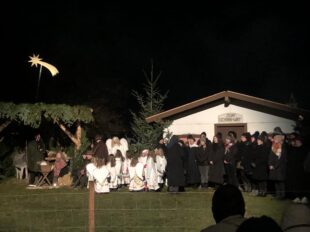 34db584e-dbf0-4603-b241-dc79f0a49109