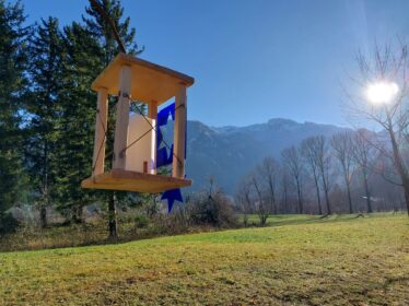 509d2bbe-21e2-408f-ab6b-52bb92be01c1