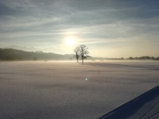 51373590_1695282963907329_3796047114459414528_n