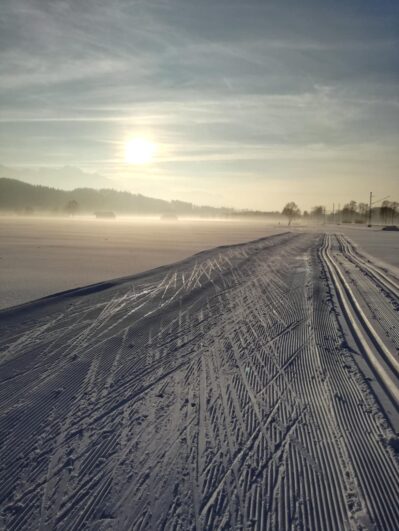 51777835_625534687880439_5468352279662821376_n