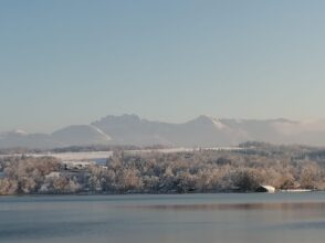 577b0636-1983-49d8-8217-f024e329a0da