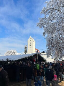 87938207-3095-4a2e-ba8f-1a50f42cf137