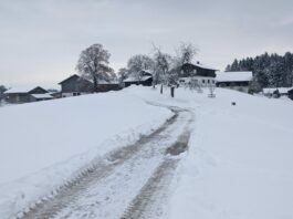 auf der Priener Loipe