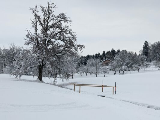 auf der Priener Loipe