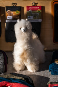 Samerberger Dorfadvent verzaubert mit festlichem Glanz und besinnlichen Momenten