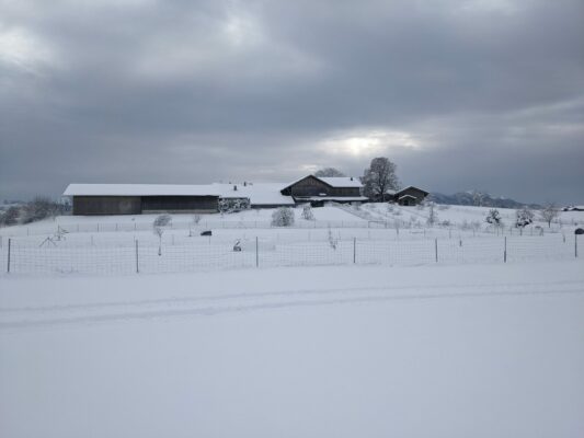 auf der Priener Loipe