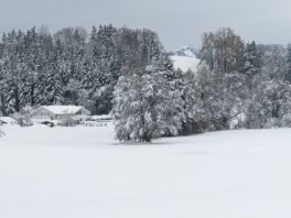 auf der Priener Loipe