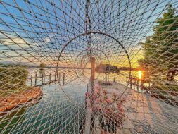 SEElenbilder_Foto H. Reiter (1)