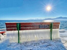 SEElenbilder_Foto H. Reiter (1b)