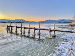 SEElenbilder_Foto H. Reiter (2)