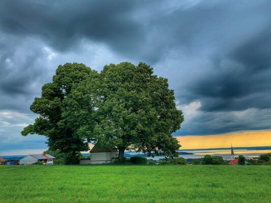 SEElenbilder_Foto H. Reiter (20)