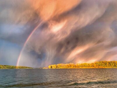 SEElenbilder_Foto H. Reiter (22)