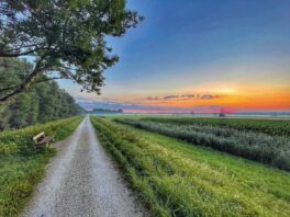 SEElenbilder_Foto H. Reiter (4)