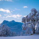 Ein Wintermärchen auf dem Samerberg: Magische Momente in verschneiter Idylle