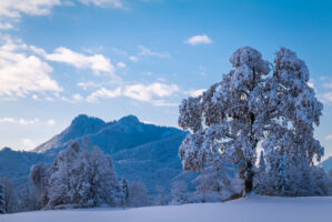 Ein Wintermärchen auf dem Samerberg