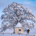 Ein Wintermärchen auf dem Samerberg: Magische Momente in verschneiter Idylle
