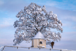 Ein Wintermärchen auf dem Samerberg: Magische Momente in verschneiter Idylle
