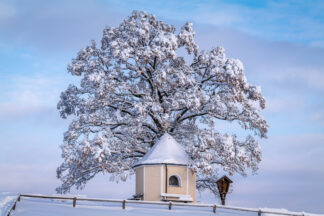 Ein Wintermärchen auf dem Samerberg