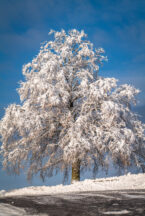 Ein Wintermärchen auf dem Samerberg