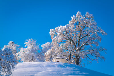 Ein Wintermärchen auf dem Samerberg