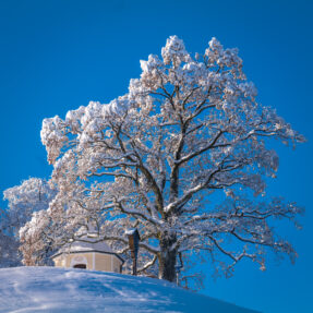Ein Wintermärchen auf dem Samerberg