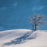 Ein Wintermärchen auf dem Samerberg: Magische Momente in verschneiter Idylle