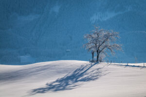 Ein Wintermärchen auf dem Samerberg: Magische Momente in verschneiter Idylle