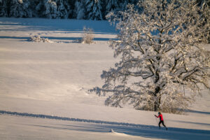 Ein Wintermärchen auf dem Samerberg: Magische Momente in verschneiter Idylle