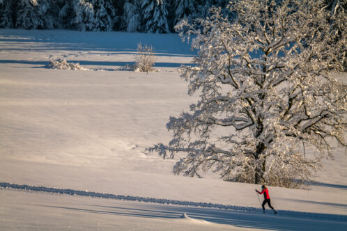 Ein Wintermärchen auf dem Samerberg