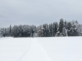 auf der Priener Loipe