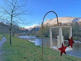 Stern Laternen Weg_Foto H. Reiter (6)