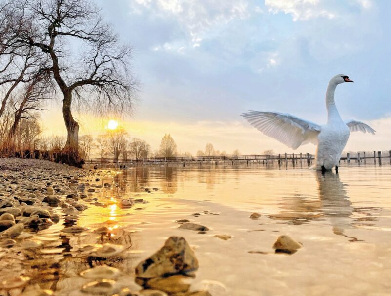 Umschlag2023-Presse-ohne