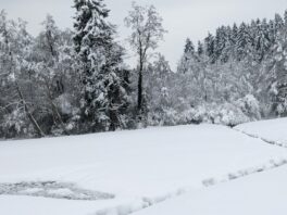 auf der Priener Loipe