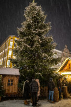 Weihnachtsmarkt-Rosenheim-1001984