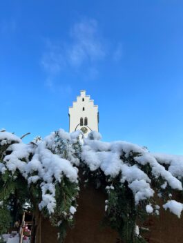 ae6af0df-a0fa-4339-97aa-b589da7267ea