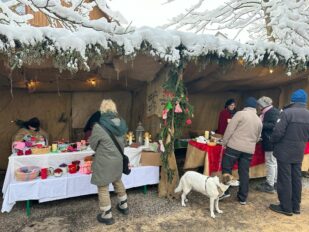 bb2fc153-de4a-4743-889e-9da6f299ccfe