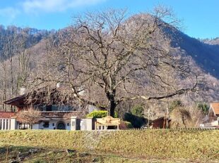 bd37c911-9bca-45c0-a9b2-b5298c0dcd8a