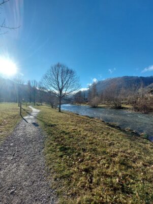 cce81522-5223-4f13-a626-c2b851434613