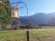 d124fca5-64d8-487e-8a90-bf085a932306