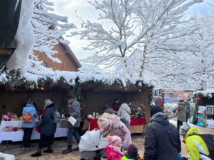 e0ed1284-d24b-4bec-bea6-bfd0df392eb2