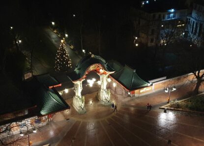 20231231_221041_Amberger_m